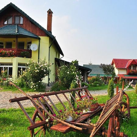 Pensiunea Cotiso Costeşti Exterior foto